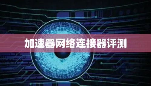 加速器网络连接器评测