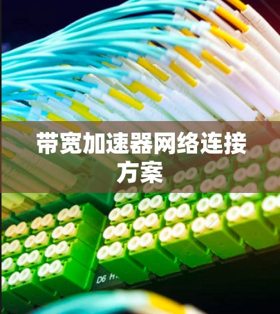 带宽加速器网络连接方案