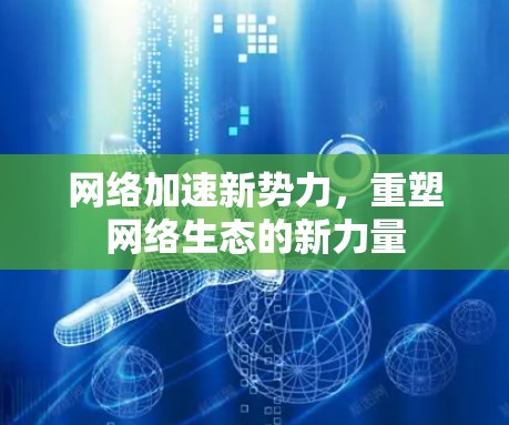 网络加速新势力，重塑网络生态的新力量