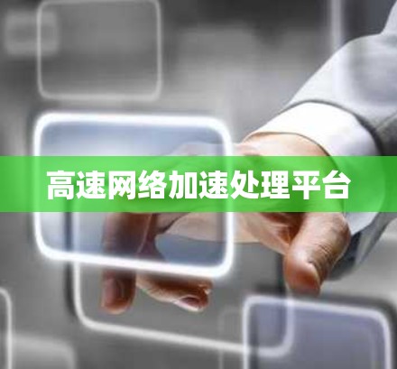 高速网络加速处理平台 高速网络加速处理平台