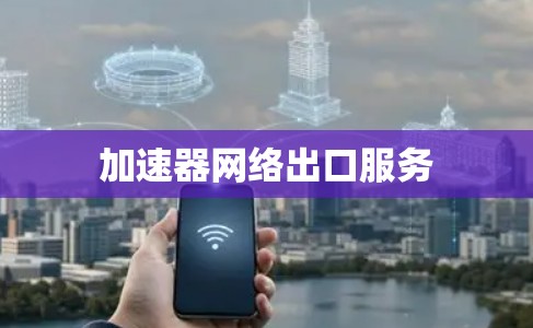 加速器网络出口服务