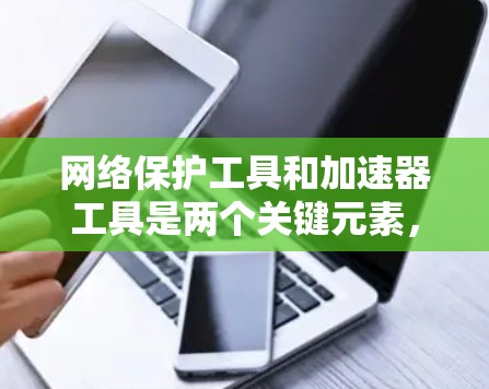 网络保护工具和加速器工具是两个关键元素，共同作用于网络传输中，提升安全性并优化效率。以下是它们的详细分析
