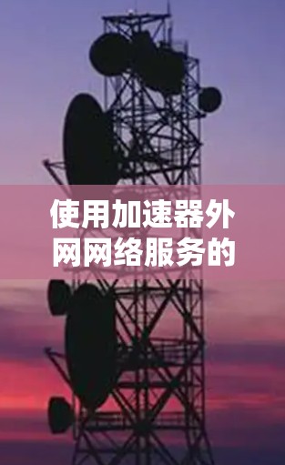 使用加速器外网网络服务的步骤如下