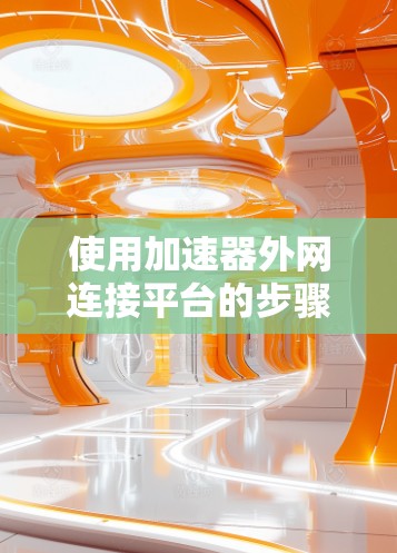 使用加速器外网连接平台的步骤如下
