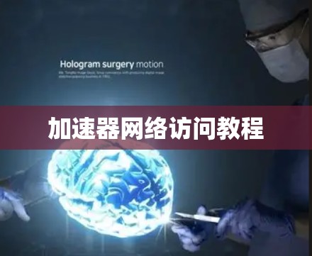 加速器网络访问教程