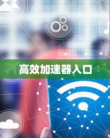 高效加速器入口