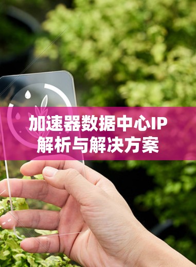 加速器数据中心IP解析与解决方案 加速器数据中心IP解析与解决方案