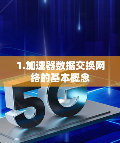 1.加速器数据交换网络的基本概念 1.加速器数据交换网络的基本概念