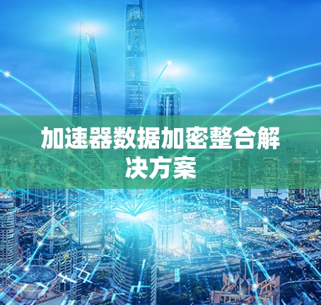 加速器数据加密整合解决方案 加速器数据加密整合解决方案