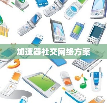 加速器社交网络方案