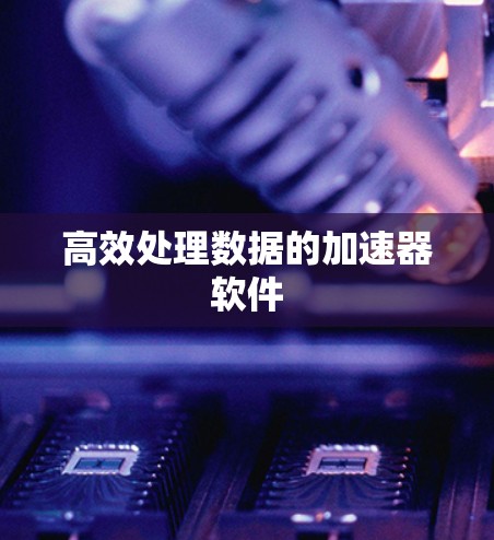 高效处理数据的加速器软件