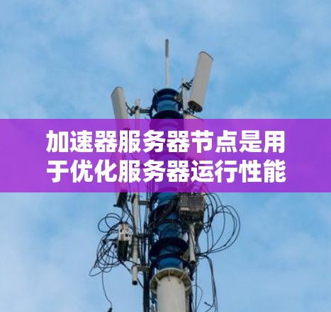 加速器服务器节点是用于优化服务器运行性能的工具,通过自动优化代码、减少资源消耗等方式提高服务器响应速度。以下是关于加速器服务器节点的详细总结 加速器服务器节点是用于优化服务器运行性能的工具,通过自动优化代码、减少资源消耗等方式提高服务器响应速度。以下是关于加速器服务器节点的详细总结