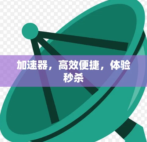 加速器，高效便捷，体验秒杀