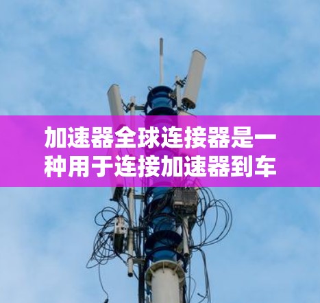 加速器全球连接器是一种用于连接加速器到车辆的通用连接器，广泛应用于国际市场上。以下是关于该产品的详细信息