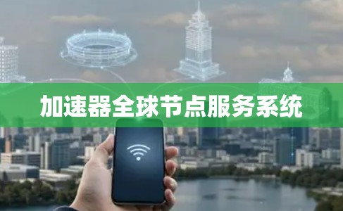 加速器全球节点服务系统