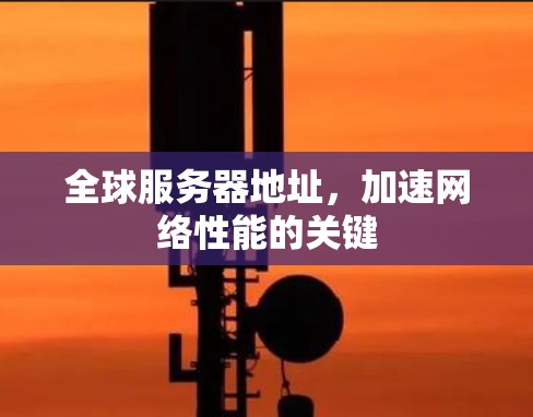 全球服务器地址，加速网络性能的关键