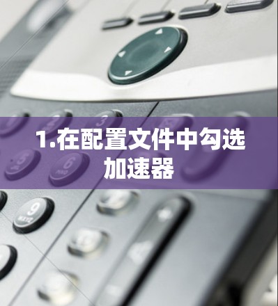 1.在配置文件中勾选加速器