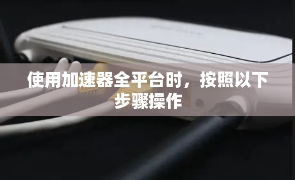 使用加速器全平台时,按照以下步骤操作