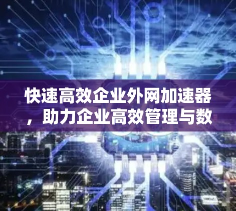 快速高效企业外网加速器,助力企业高效管理与数据传输 快速高效企业外网加速器,助力企业高效管理与数据传输