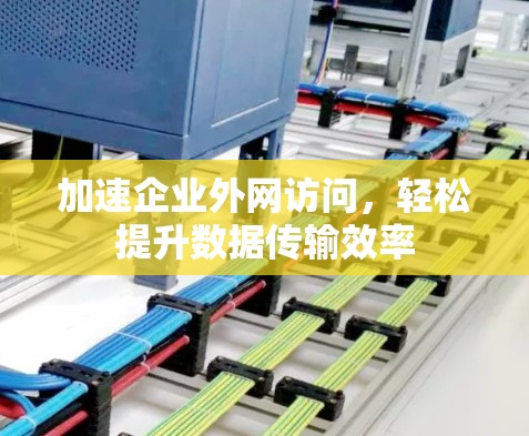 加速企业外网访问,轻松提升数据传输效率