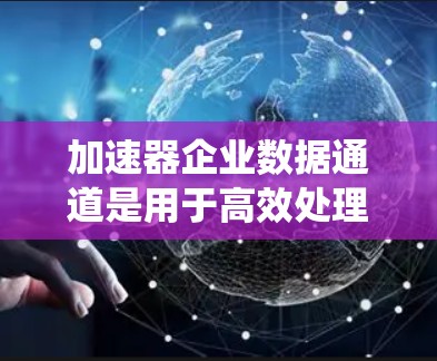 加速器企业数据通道是用于高效处理和传输企业内部数据的设备或系统,通常涉及云计算、大数据处理和网络数据传输等技术。以下是对加速器企业数据通道的详细分析