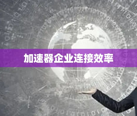 加速器企业连接效率