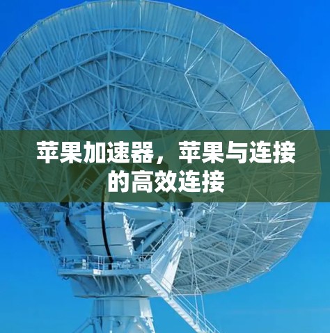 苹果加速器,苹果与连接的高效连接