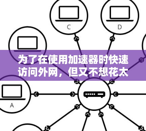 为了在使用加速器时快速访问外网,但又不想花太多费用,可以按照以下步骤进行