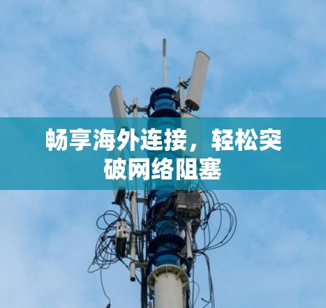 畅享海外连接，轻松突破网络阻塞