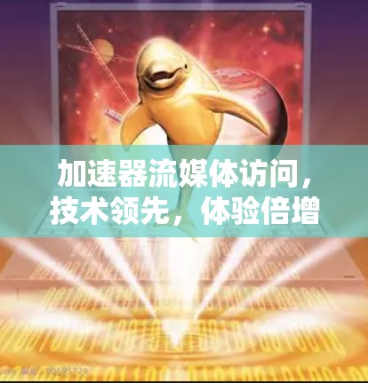 加速器流媒体访问，技术领先，体验倍增
