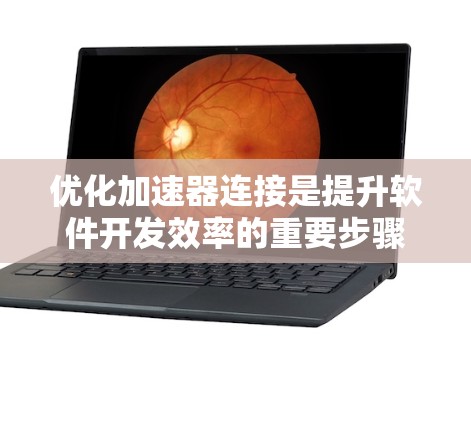 优化加速器连接是提升软件开发效率的重要步骤。以下是一个有条理的优化步骤指南