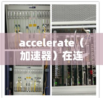 accelerate(加速器)在连接软件排行226中的重要性体现在其在数据中心和云计算服务中的核心功能。以下是对其连接软件的详细分析