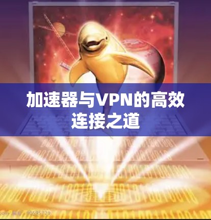 加速器与VPN的高效连接之道