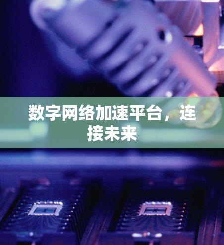 数字网络加速平台,连接未来