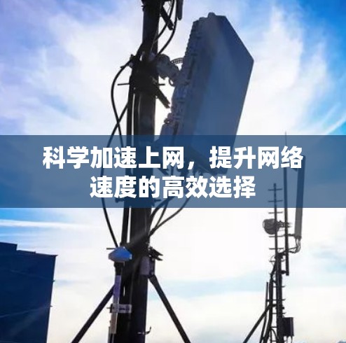 科学加速上网,提升网络速度的高效选择
