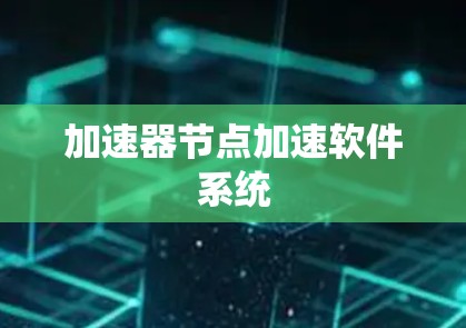 加速器节点加速软件系统 加速器节点加速软件系统