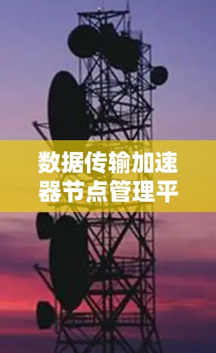 数据传输加速器节点管理平台，从技术到应用的深度探索