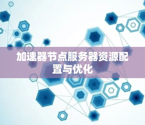 加速器节点服务器资源配置与优化