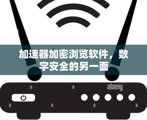加速器加密浏览软件,数字安全的另一面