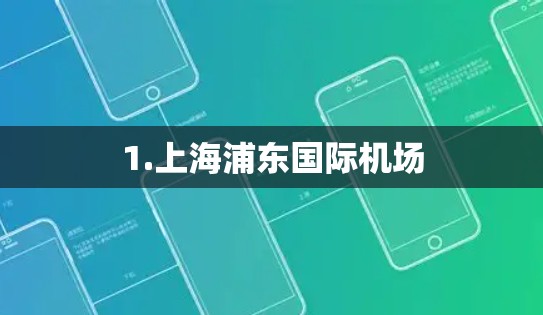 1.上海浦东国际机场