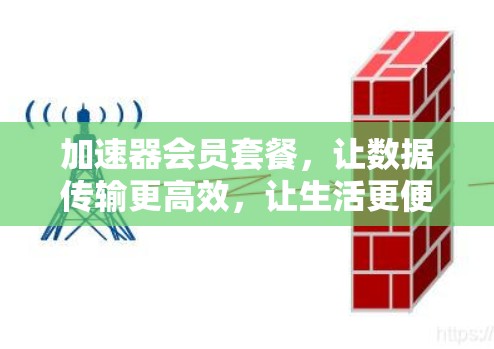 加速器会员套餐,让数据传输更高效,让生活更便捷! 加速器会员套餐,让数据传输更高效,让生活更便捷!