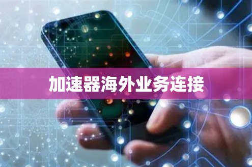 加速器海外业务连接