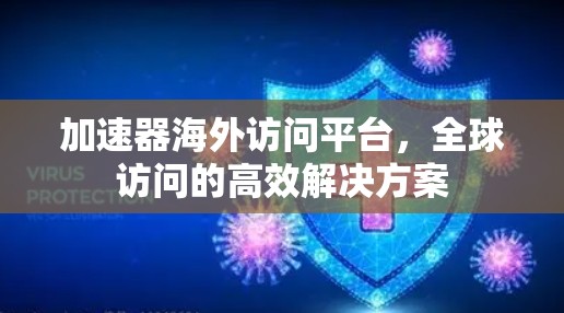 加速器海外访问平台，全球访问的高效解决方案