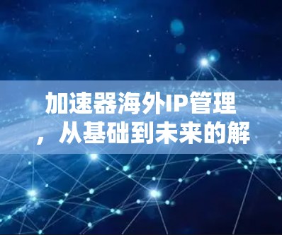 加速器海外IP管理，从基础到未来的解决方案