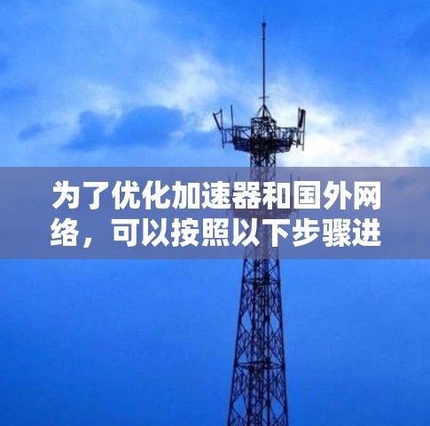 为了优化加速器和国外网络，可以按照以下步骤进行