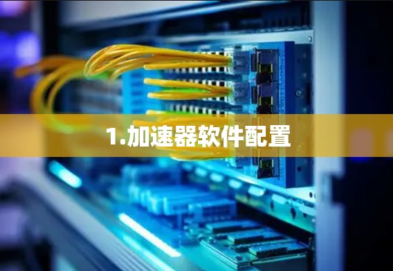 1.加速器软件配置
