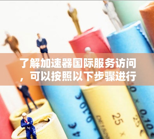 了解加速器国际服务访问，可以按照以下步骤进行