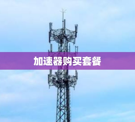 加速器购买套餐