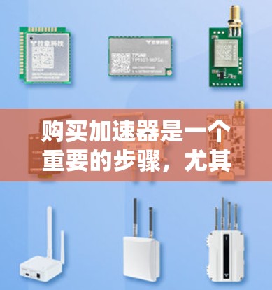 购买加速器是一个重要的步骤，尤其是对于有显卡需求的用户。以下是详细的购买建议，帮助您找到适合的加速器
