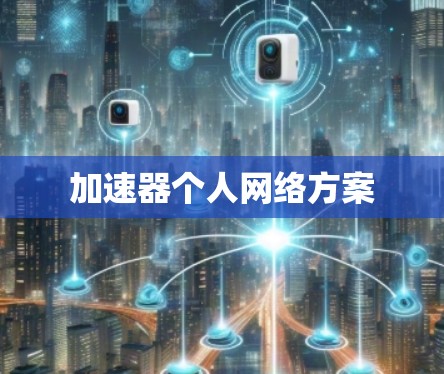 加速器个人网络方案